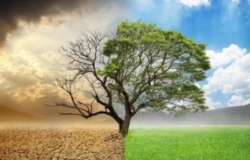 Environmental Impact Assessment and Environmental Permitting Services for Desalination Plant in Duqm
