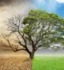 Environmental Impact Assessment and Environmental Permitting Services for Desalination Plant in Duqm