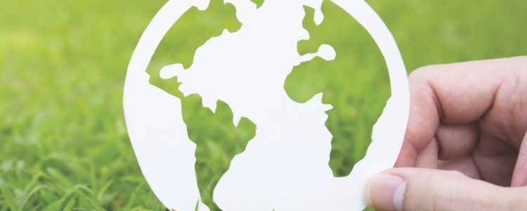 Environmental Impact Assessment