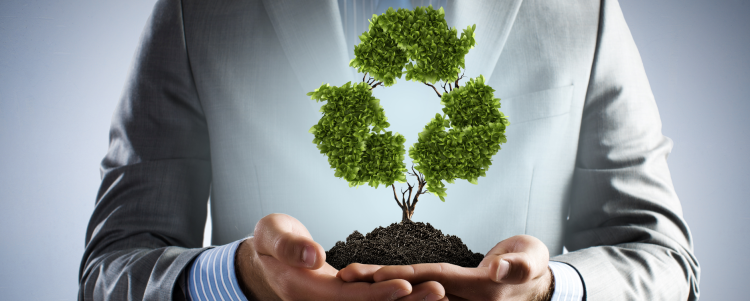 Environmental Management Planning (EMP)