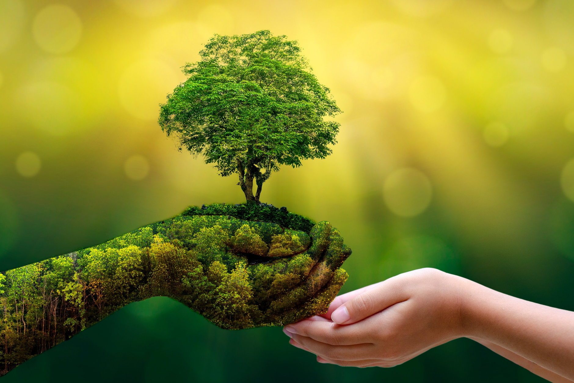 Environmental Services