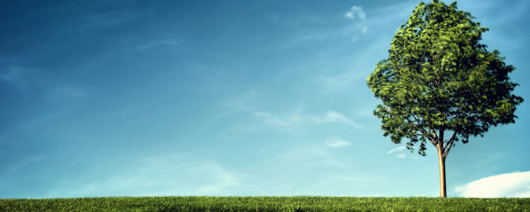 Environmental Impact Assessment (EIA)