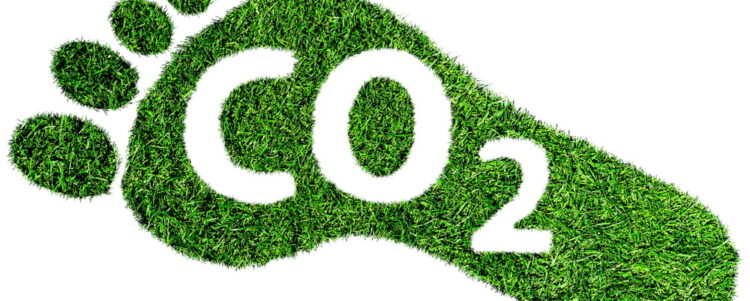 How UAE is leading Carbon reduction in the region